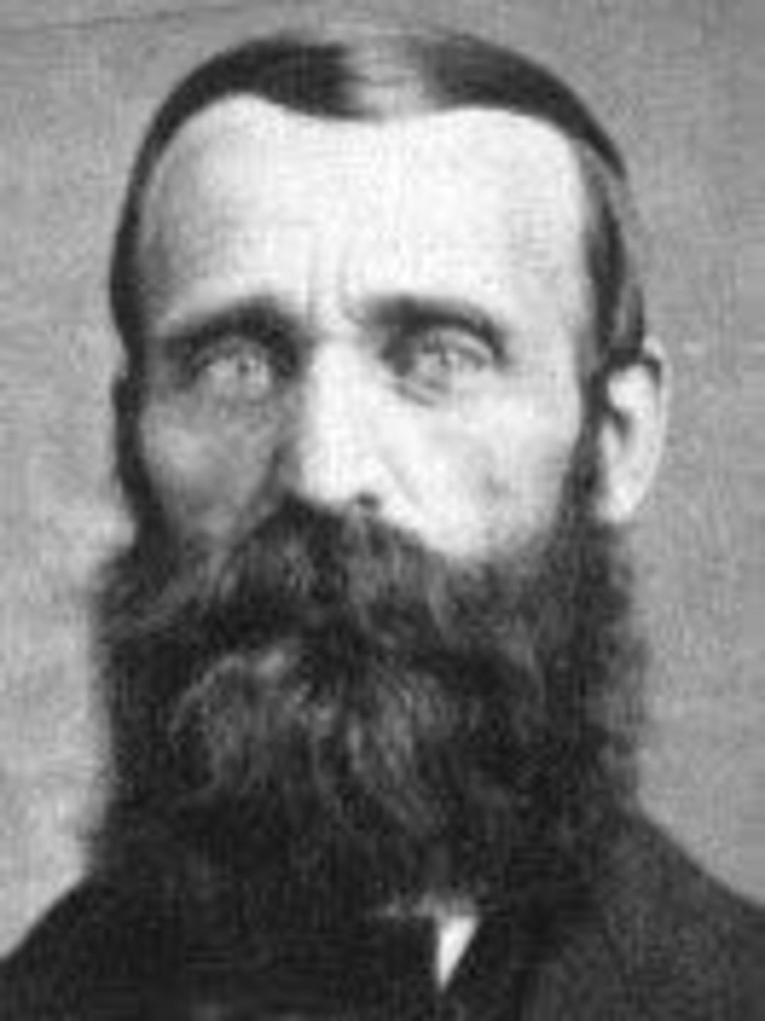Stephen Fairchild Wilson (1837 - 1927) Profile